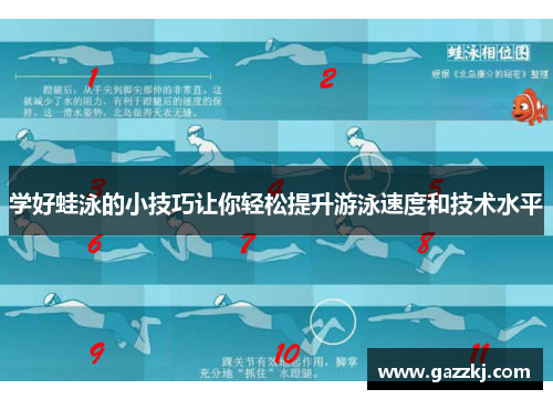 学好蛙泳的小技巧让你轻松提升游泳速度和技术水平