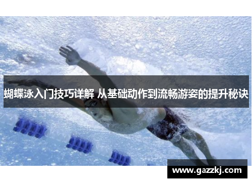 蝴蝶泳入门技巧详解 从基础动作到流畅游姿的提升秘诀