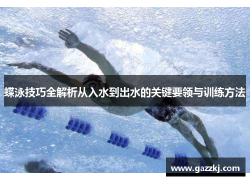 蝶泳技巧全解析从入水到出水的关键要领与训练方法