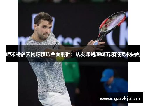 迪米特洛夫网球技巧全面剖析：从发球到底线击球的技术要点