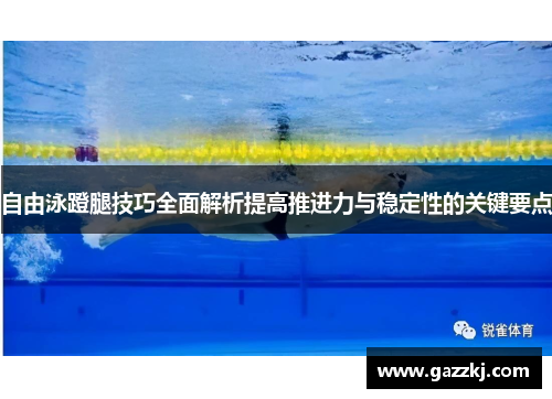 自由泳蹬腿技巧全面解析提高推进力与稳定性的关键要点